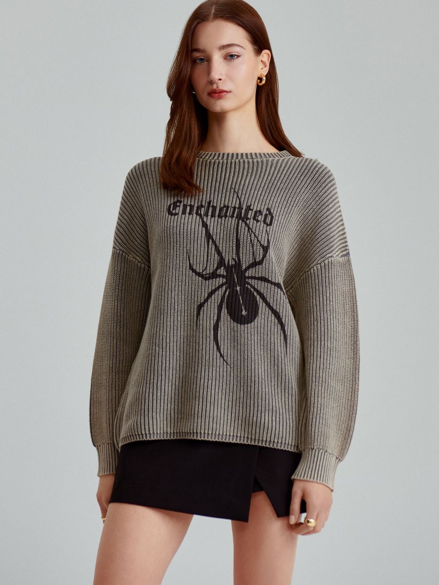 Popielaty sweter oversize z motywem pająka - szary - HOUSE