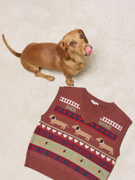 Dzianinowa brązowa kamizelka z motywem jamników