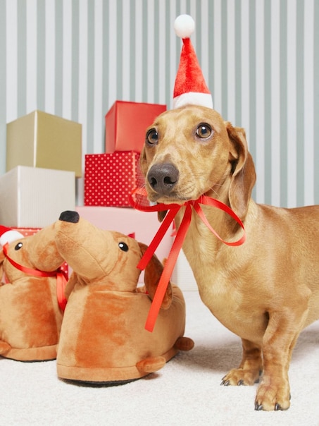 Brązowe kapcie w kształcie jamnika