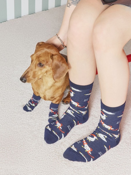 Набір шкарпеток для улюбленця та власника