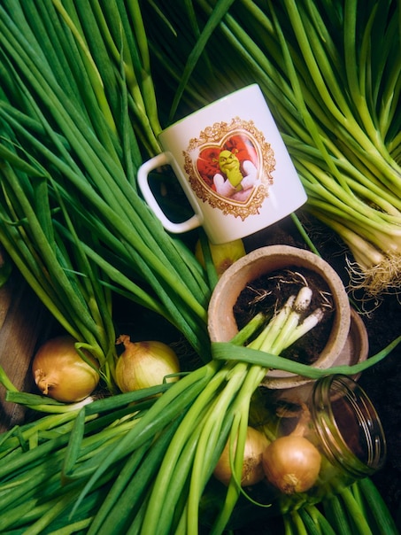 Biały kubek z nadrukiem Shrek x Włodi4444