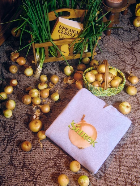 Jasnoszara bluza z kapturem i nadrukiem Shrek x Włodi4444