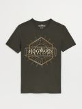 Koszulka z napisem Hogwarts Legacy zielona - ciemnoszary - HOUSE - small4